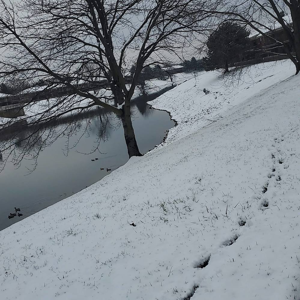 Meet your Posher, Layla